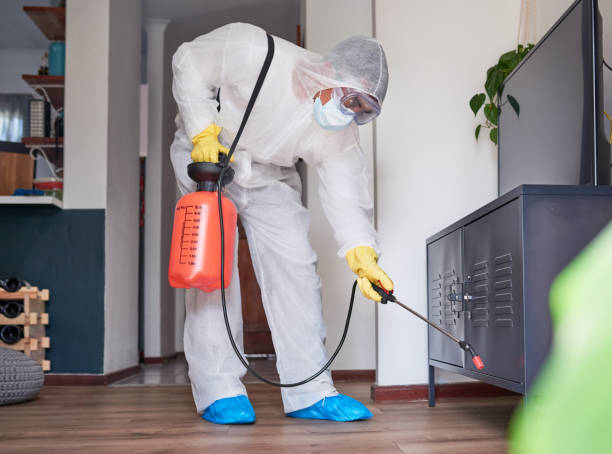 Sivrisinek İlaçlama ve Alan Dezenfeksiyonu